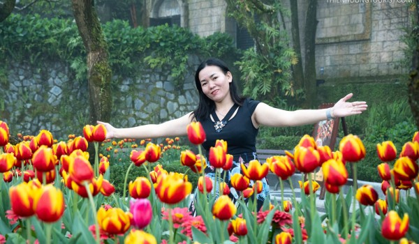 Lễ hội hoa Tulip tại Bà Nà