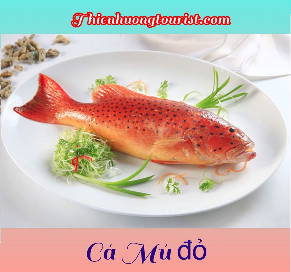 ẩm thực Côn Đảo