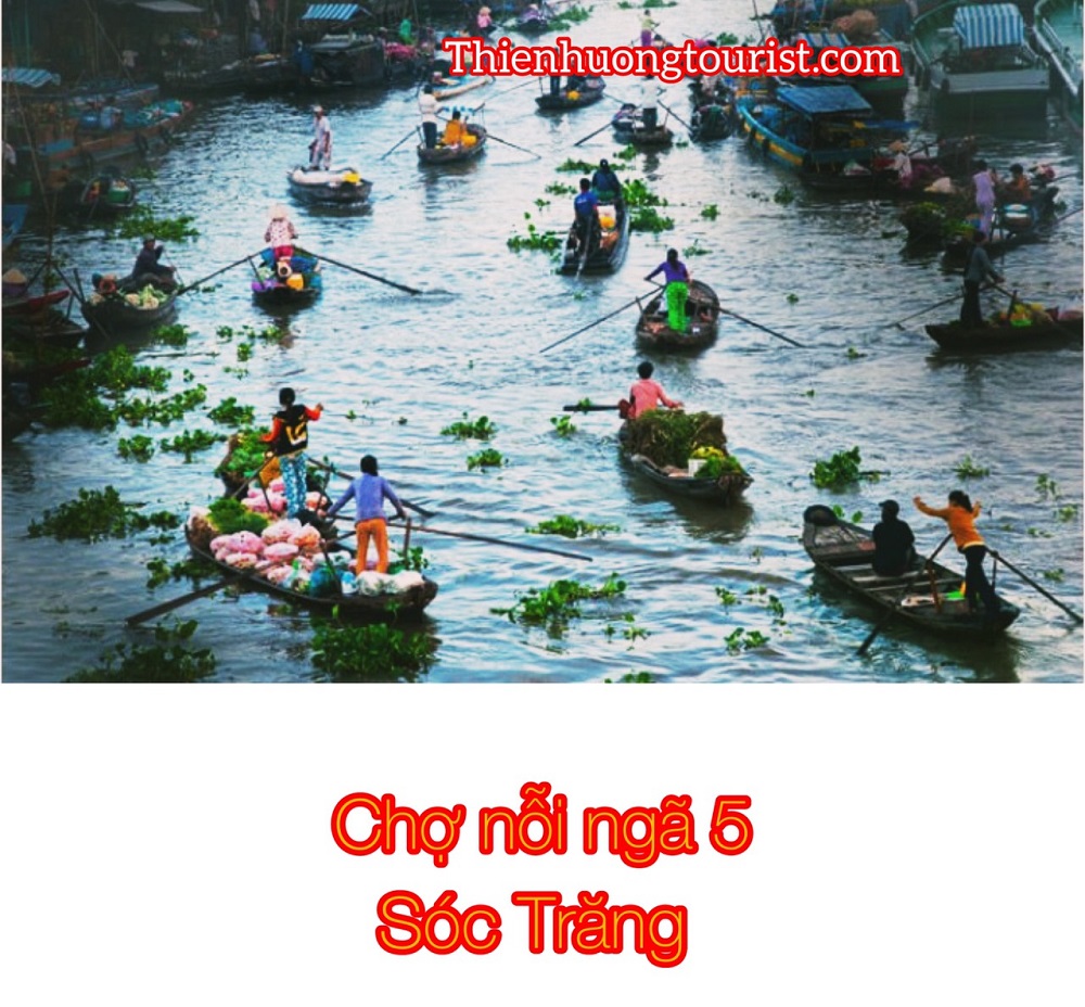 Đi Sóc Trăng chơi gì Đi Sóc Trăng chơi gì