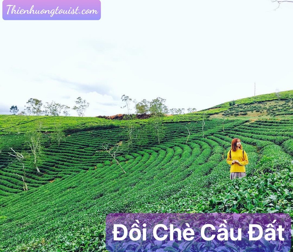 Du lịch Lâm Đồng