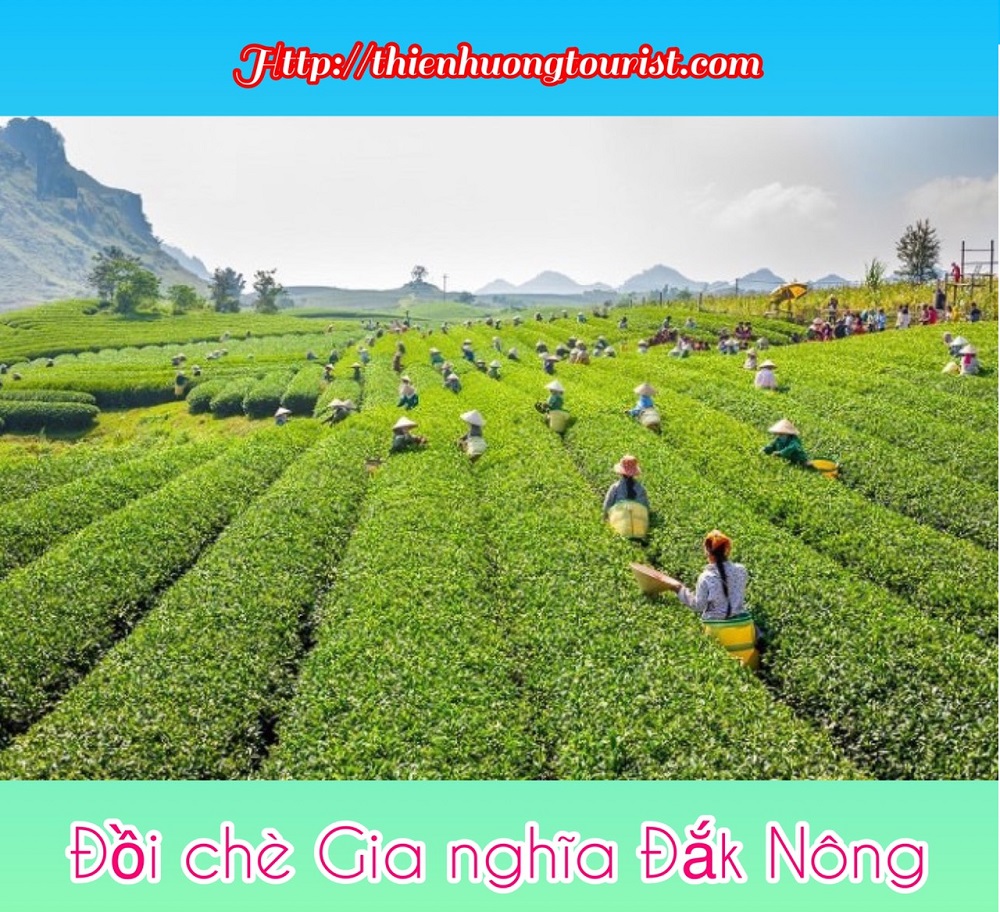 du lịch đăk nông