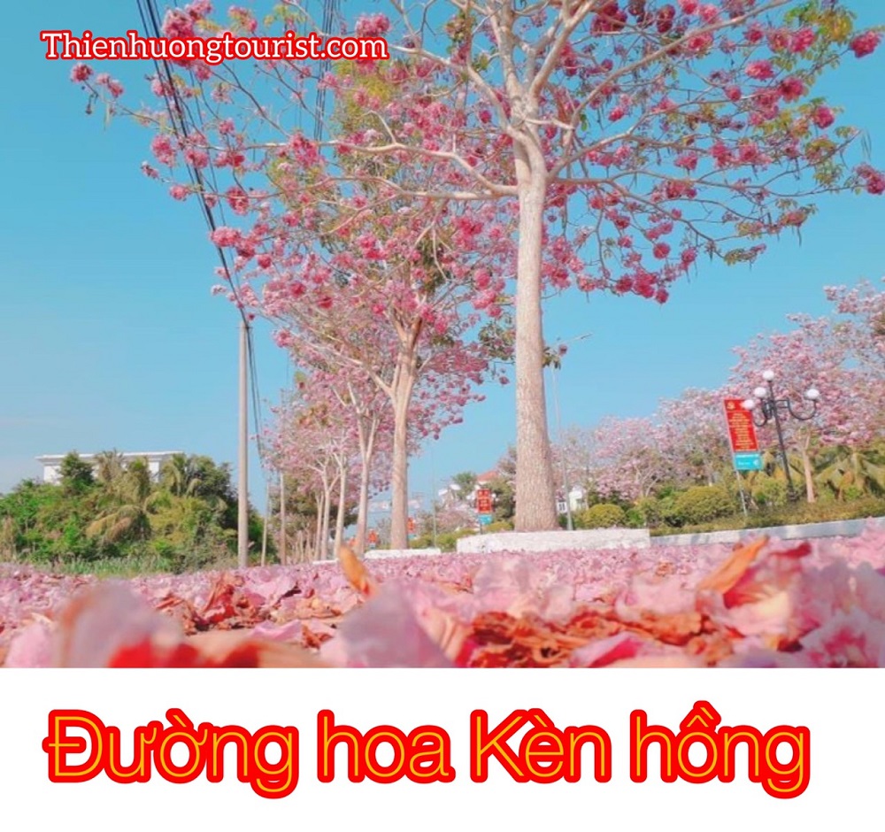 Đi Sóc Trăng chơi gì Đi Sóc Trăng chơi gì