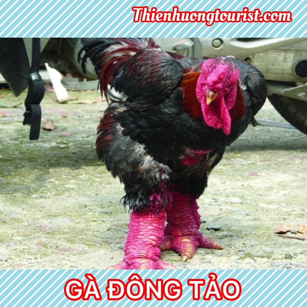 du lịch Hưng Yên du lịch Hưng Yên