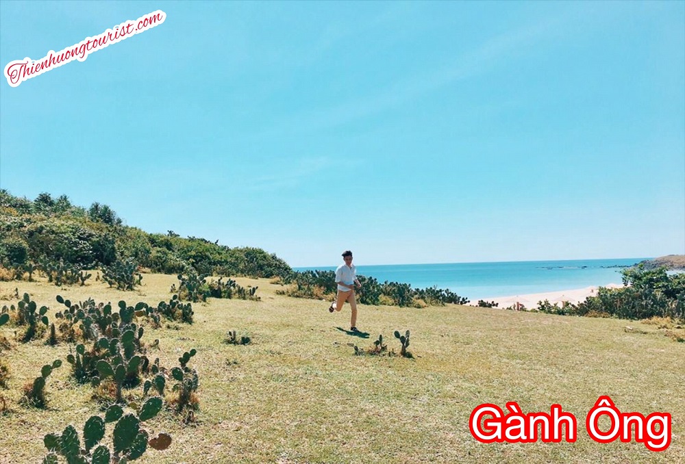 Tour du lịch Phú Yên
