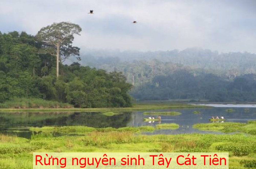 Chơi gì ở Bình Phước