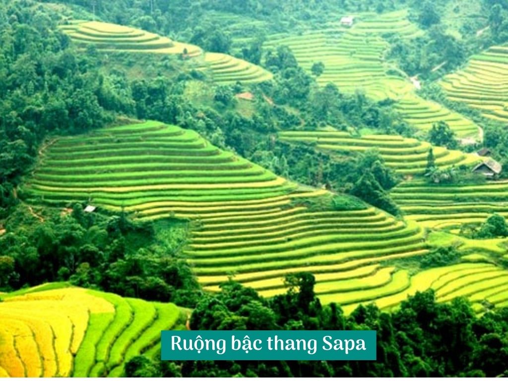 Ruộng bậc thang Sapa