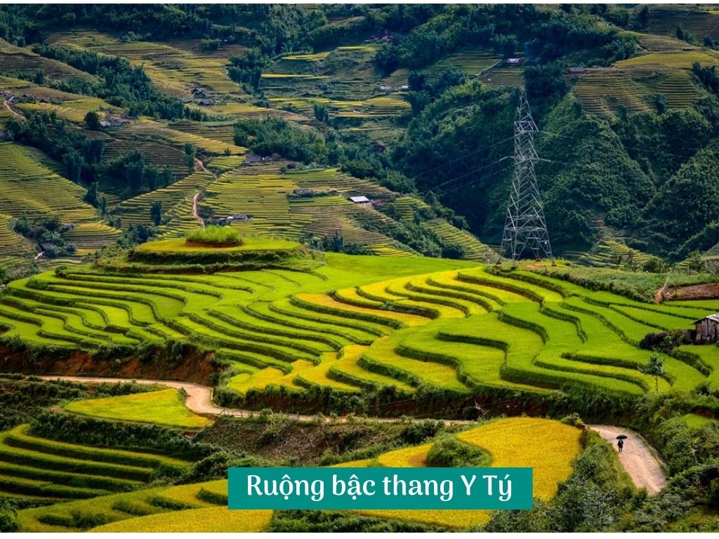 Ruộng bậc thang Y Tý