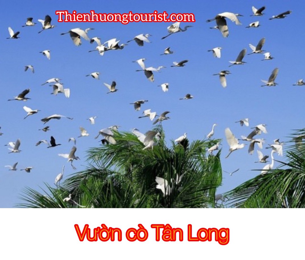 Đi Sóc Trăng chơi gì Đi Sóc Trăng chơi gì